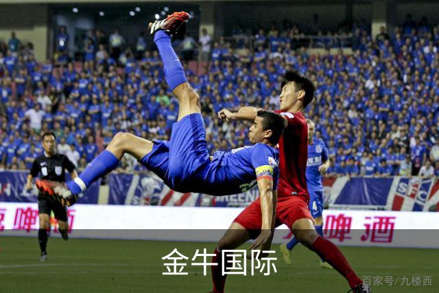 金牛国际公司简介